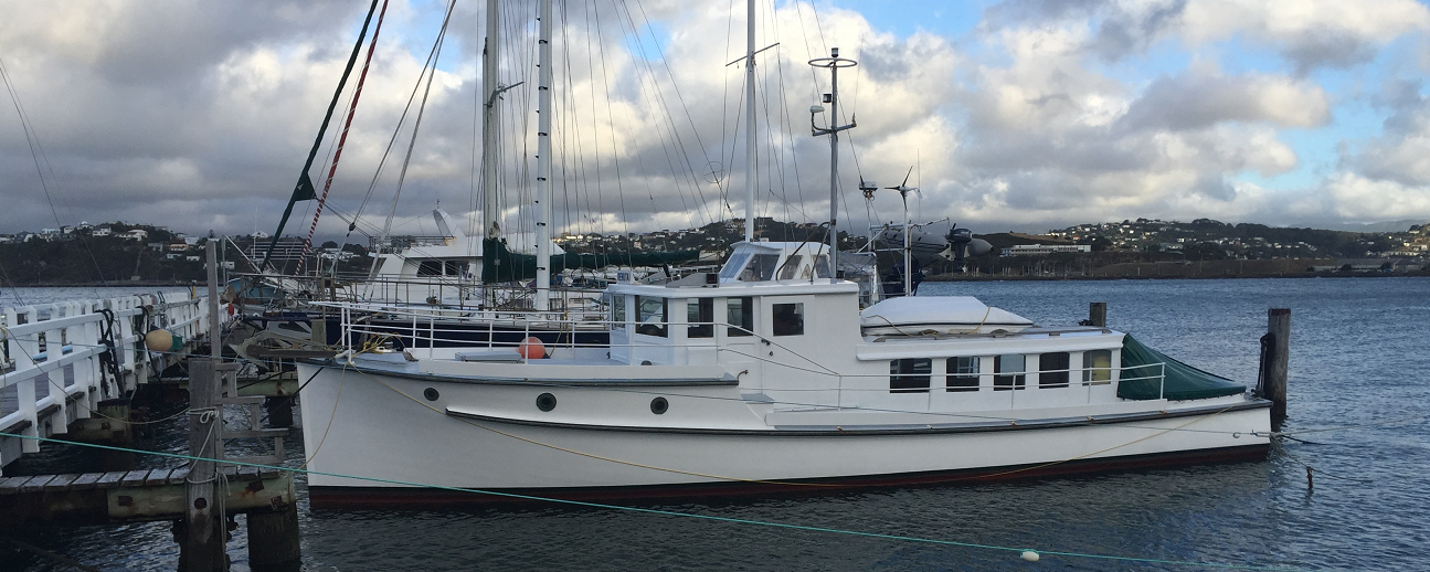 REHUTAI WELLINGTON - EX TONY WHYMAN - 41