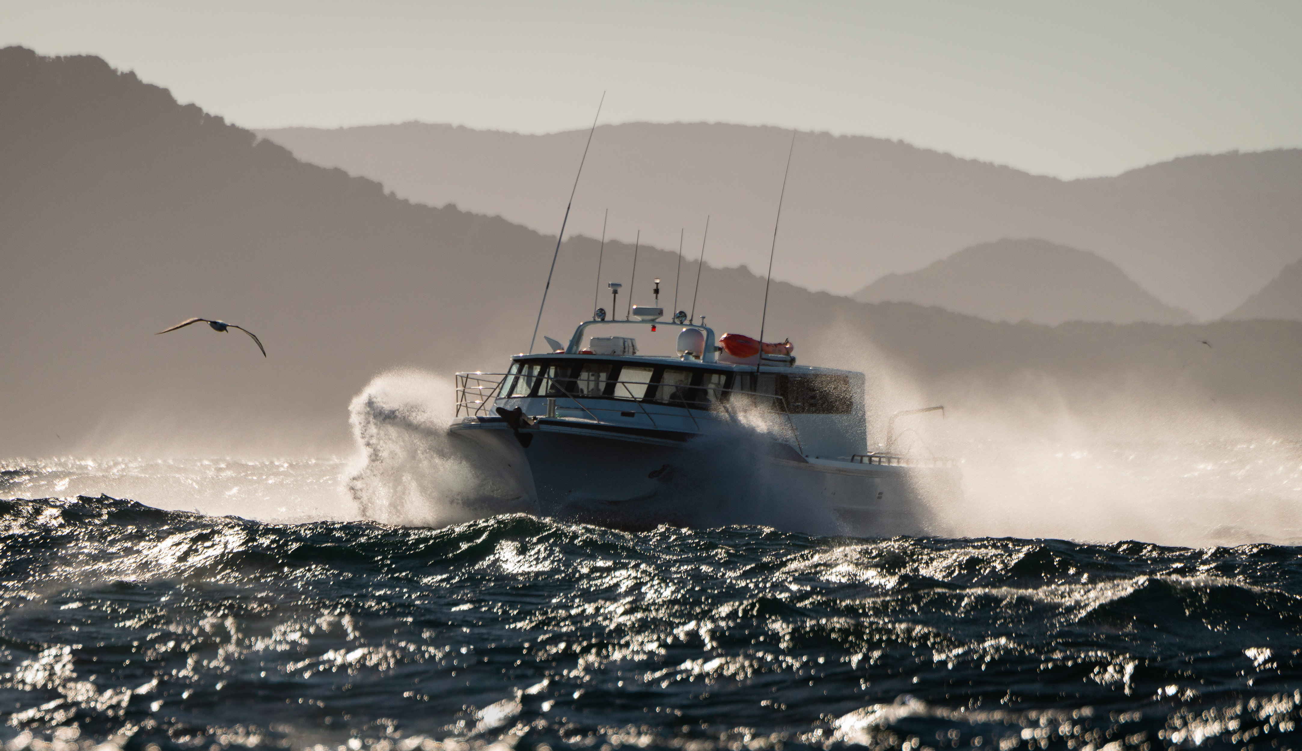 20190421-_DHW1399-Edit