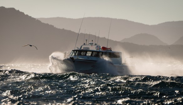 20190421-_DHW1399-Edit