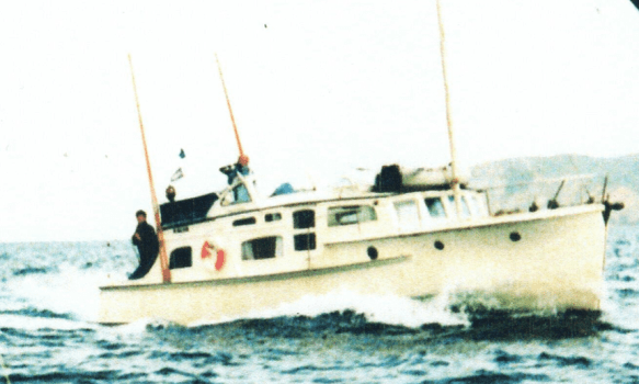 Screen Shot 2019-05-14 at 8.45.33 PM