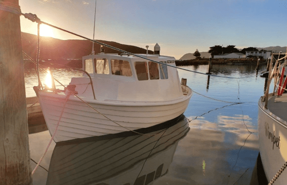 Screen Shot 2019-05-28 at 12.42.18 PM