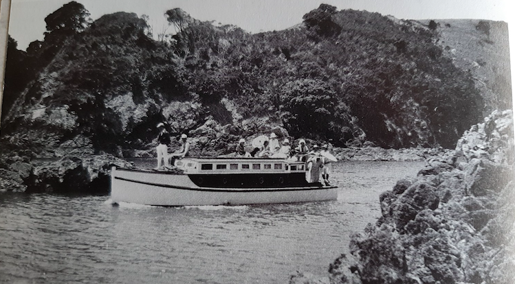 Screen Shot 2019-05-31 at 4.20.59 PM