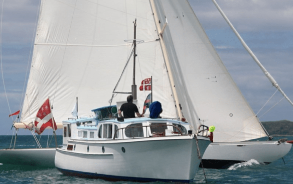 Screen Shot 2019-06-12 at 11.07.54 AM