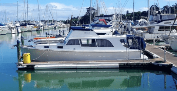 Screen Shot 2019-06-16 at 10.55.01 AM