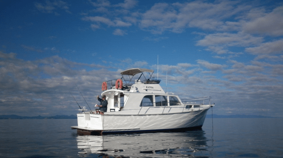 Screen Shot 2019-06-16 at 11.38.10 AM