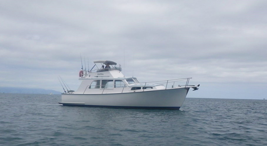 Screen Shot 2019-06-16 at 11.38.20 AM