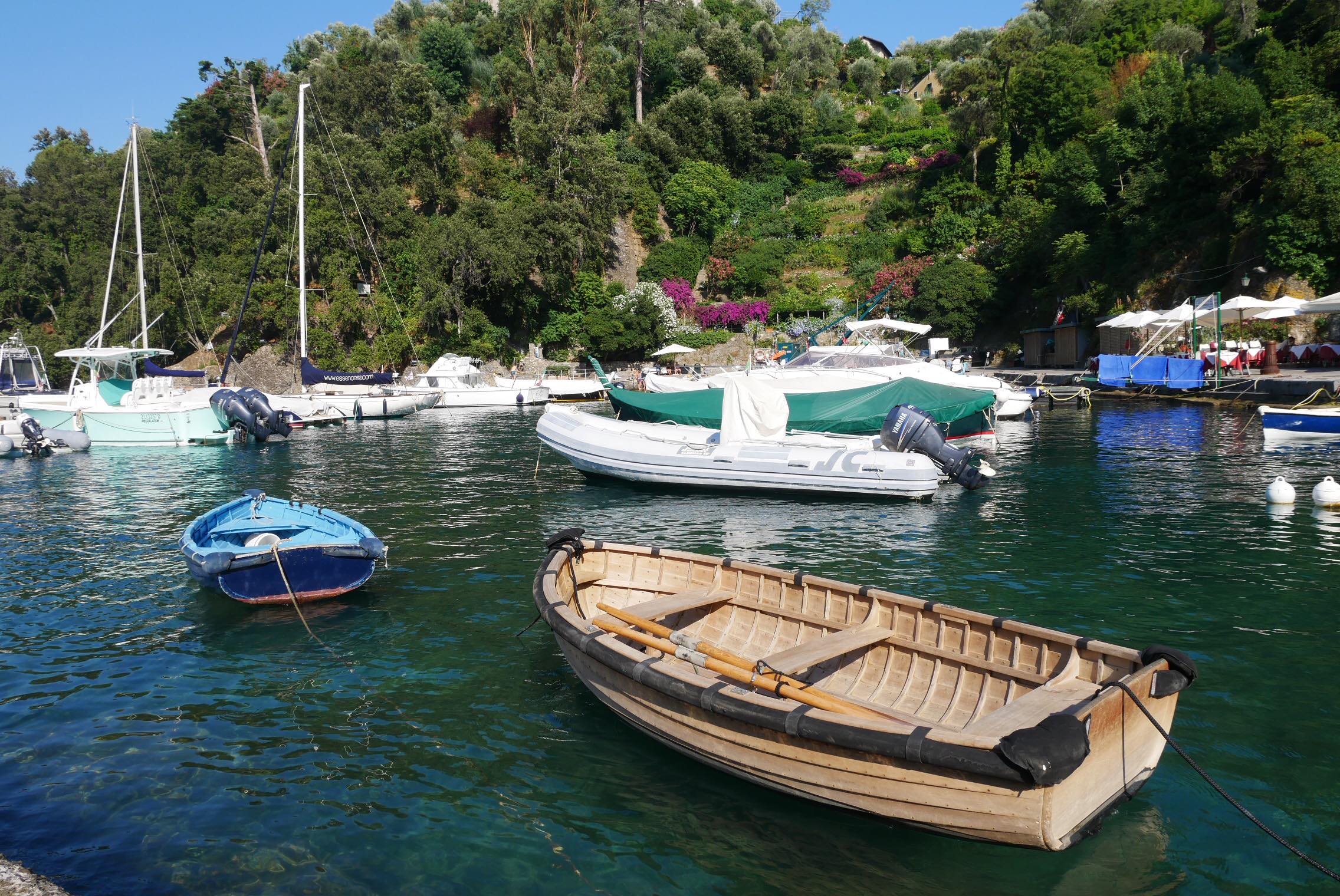 67165549_2941552002526964_2414410028585844736_n