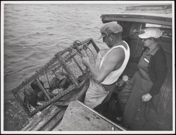 p20062coll1_60099_extralarge