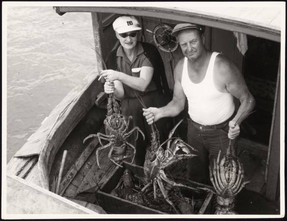 p20062coll1_60170_extralarge