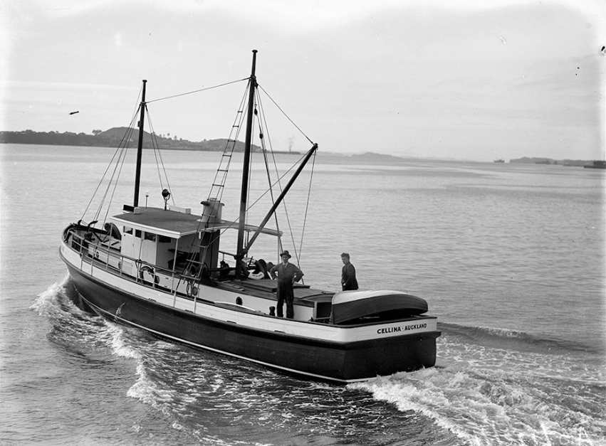 Screen Shot 2019-07-23 at 6.04.08 PM