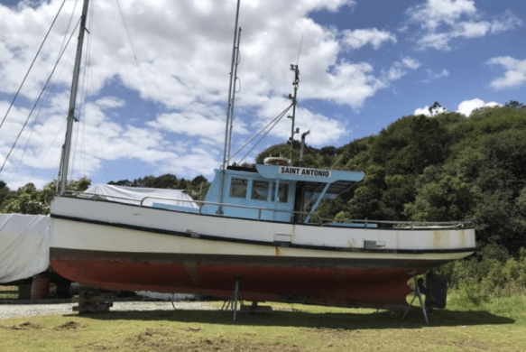 Screen Shot 2019-08-04 at 7.55.55 PM