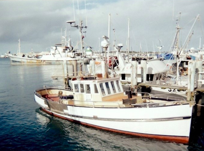 Screen Shot 2019-08-04 at 7.56.32 PM