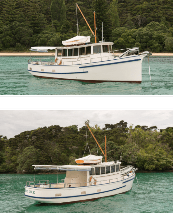 Screen Shot 2019-08-04 at 8.26.05 PM