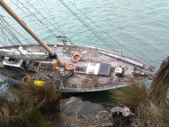 MVIMG_20190929_103736