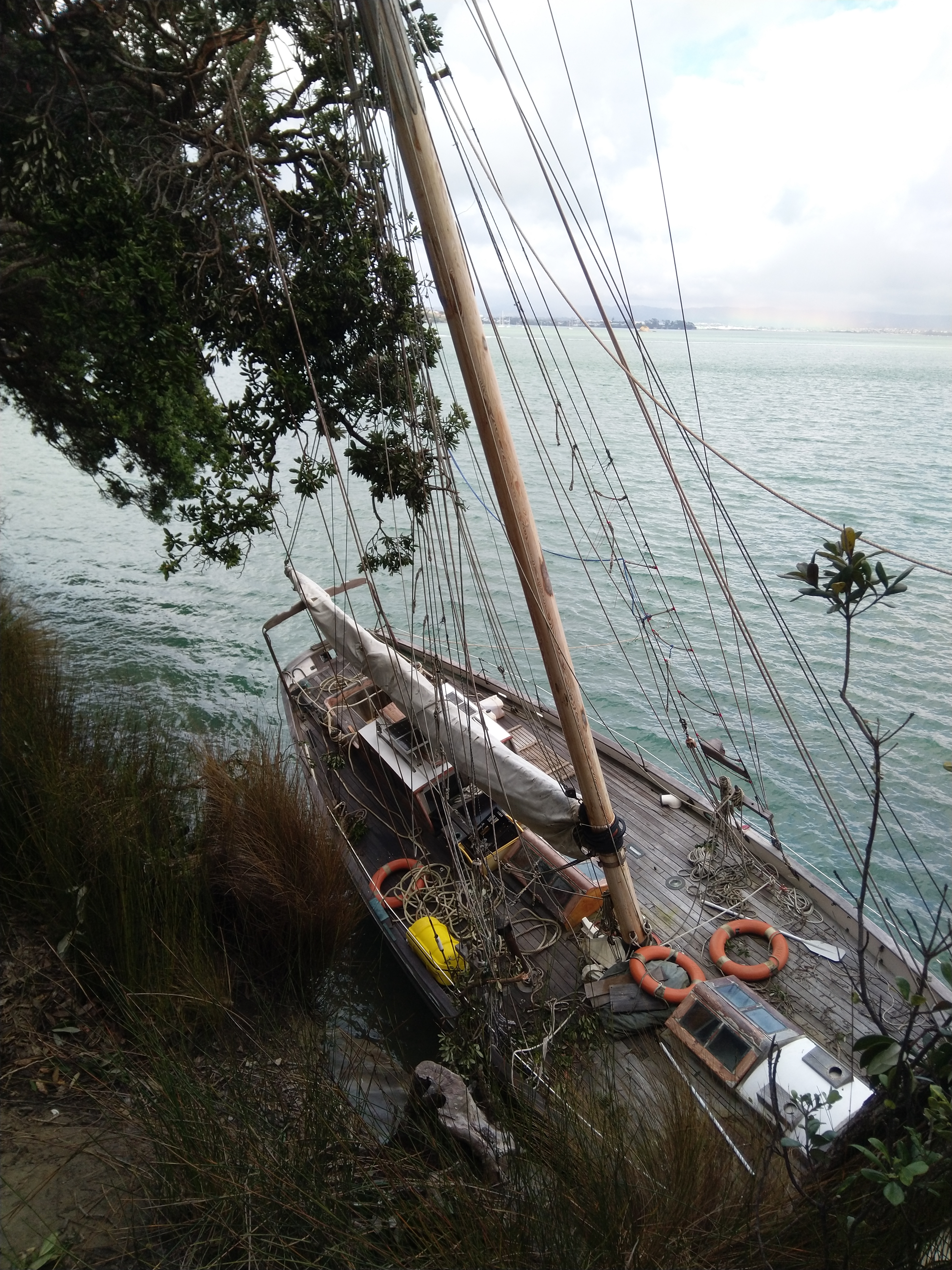 MVIMG_20190929_103748