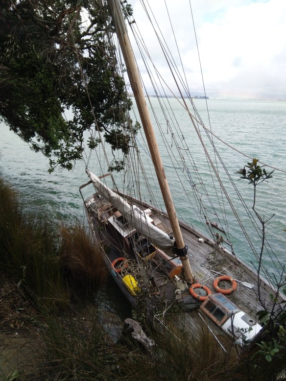 MVIMG_20190929_103748