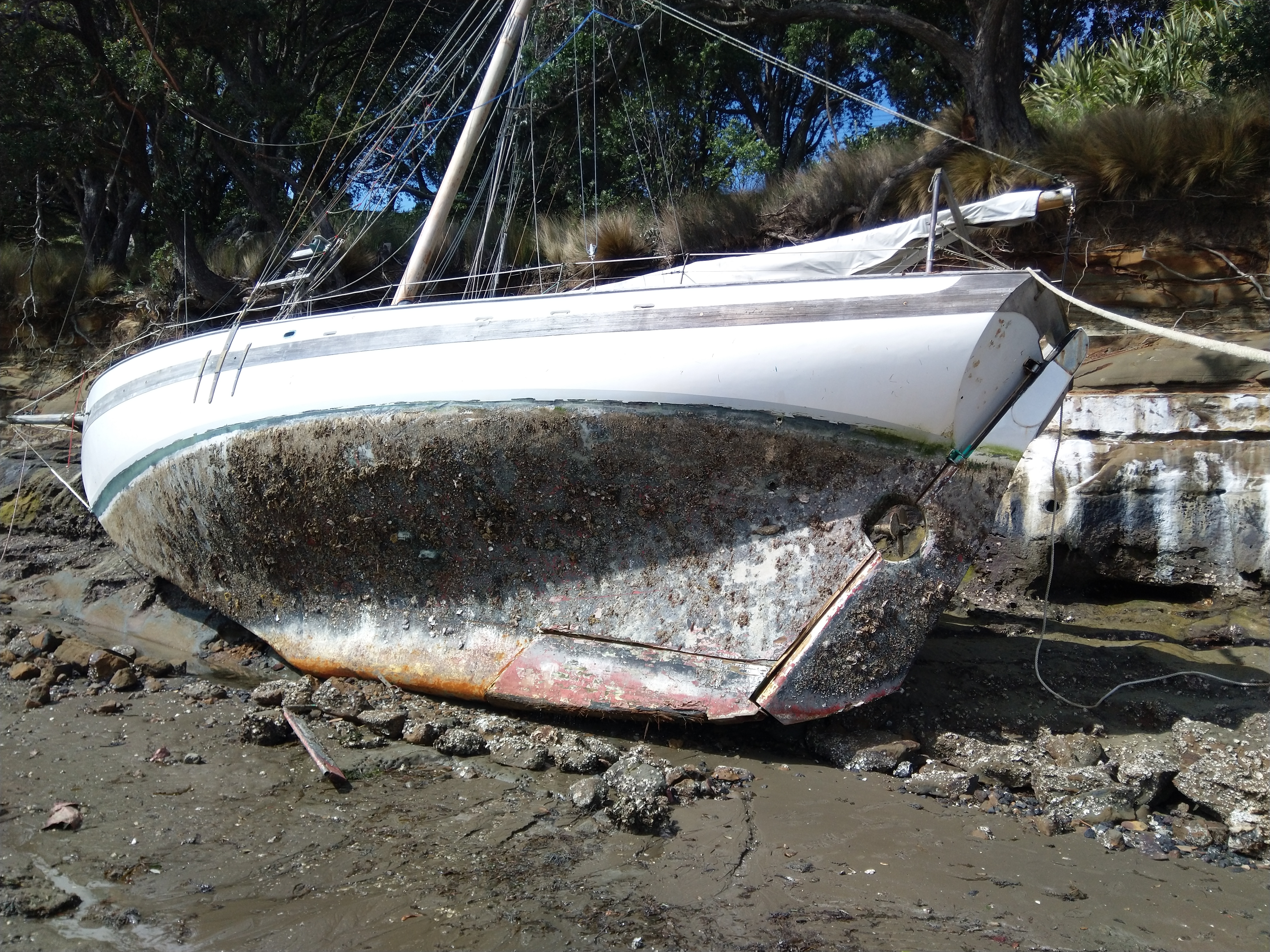 MVIMG_20190929_144812