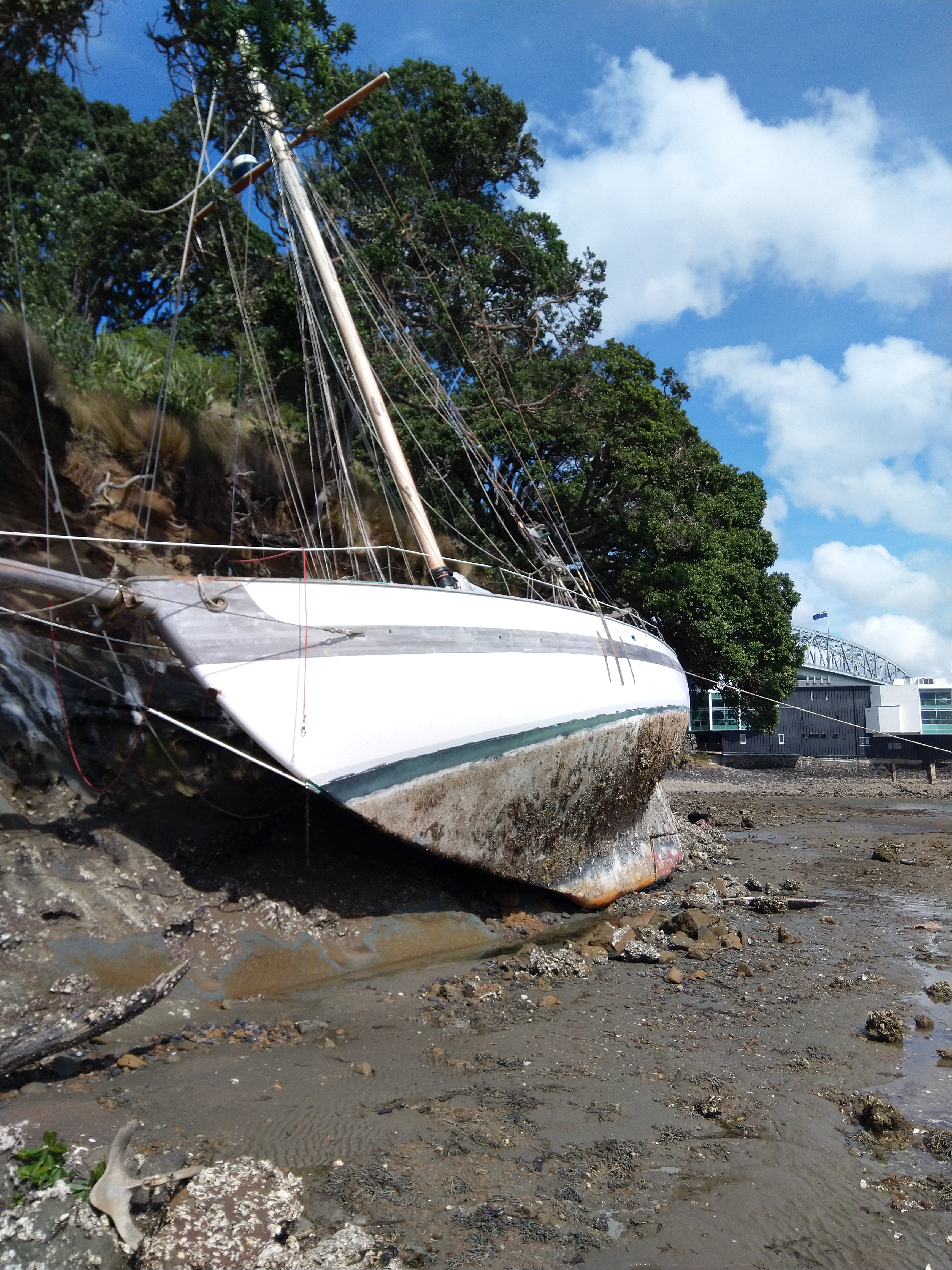 MVIMG_20190929_145114