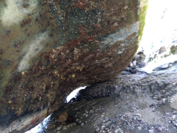 MVIMG_20190929_145339