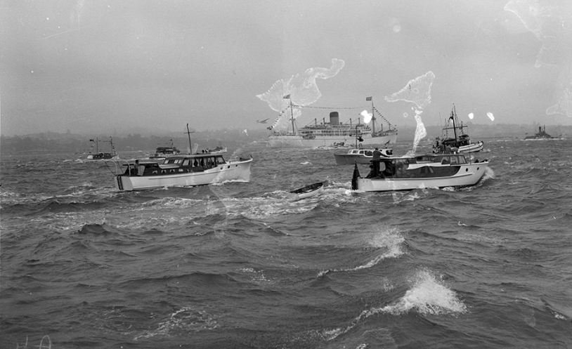 Screen Shot 2019-07-28 at 9.25.13 PM