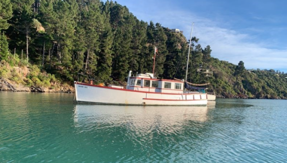 Screen Shot 2019-09-05 at 9.08.21 AM