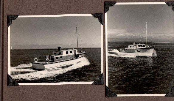 Komutu018(Bill Nalder) 001