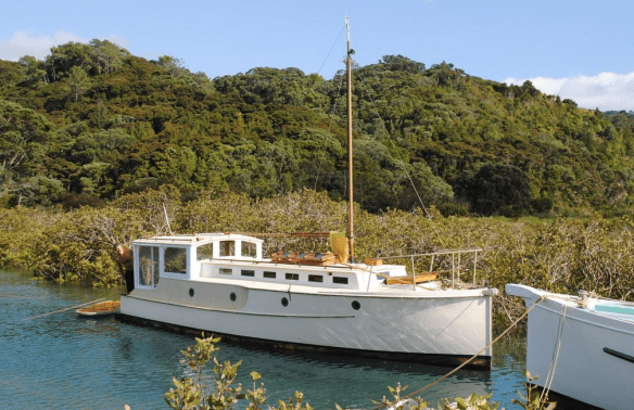 Screen Shot 2019-01-24 at 5.36.14 AM