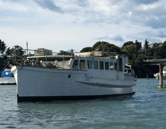 Screen Shot 2019-10-23 at 11.46.27 AM