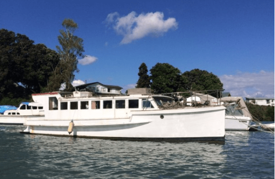 Screen Shot 2019-10-23 at 11.46.37 AM