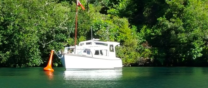 Screen Shot 2020-08-14 at 7.13.34 PM