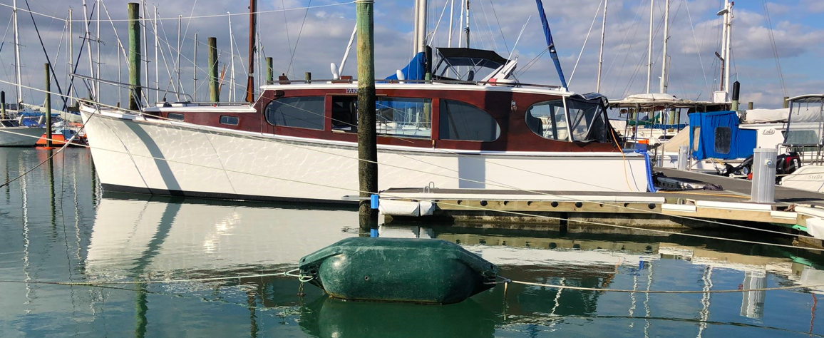 Screen Shot 2019-11-13 at 6.43.20 PM