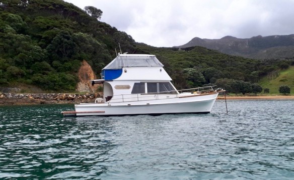 Screen Shot 2019-11-18 at 7.37.50 PM