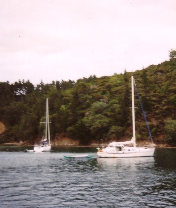 Wendella Jan 06 built c 1962