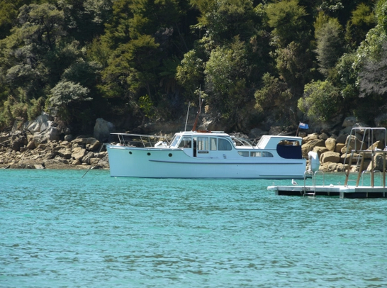 Screen Shot 2020-02-04 at 5.37.12 PM