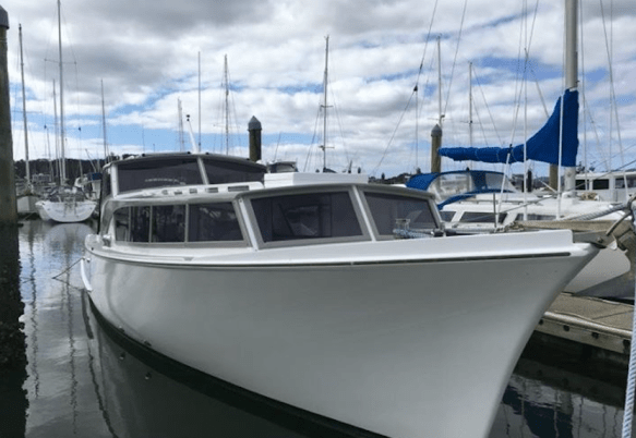 Screen Shot 2020-02-05 at 3.58.14 PM