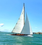 IMG_4445