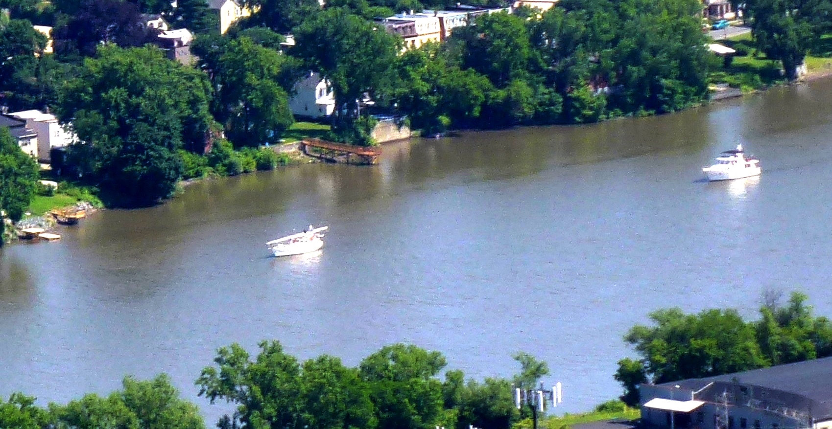 01 Kiwis up the creek