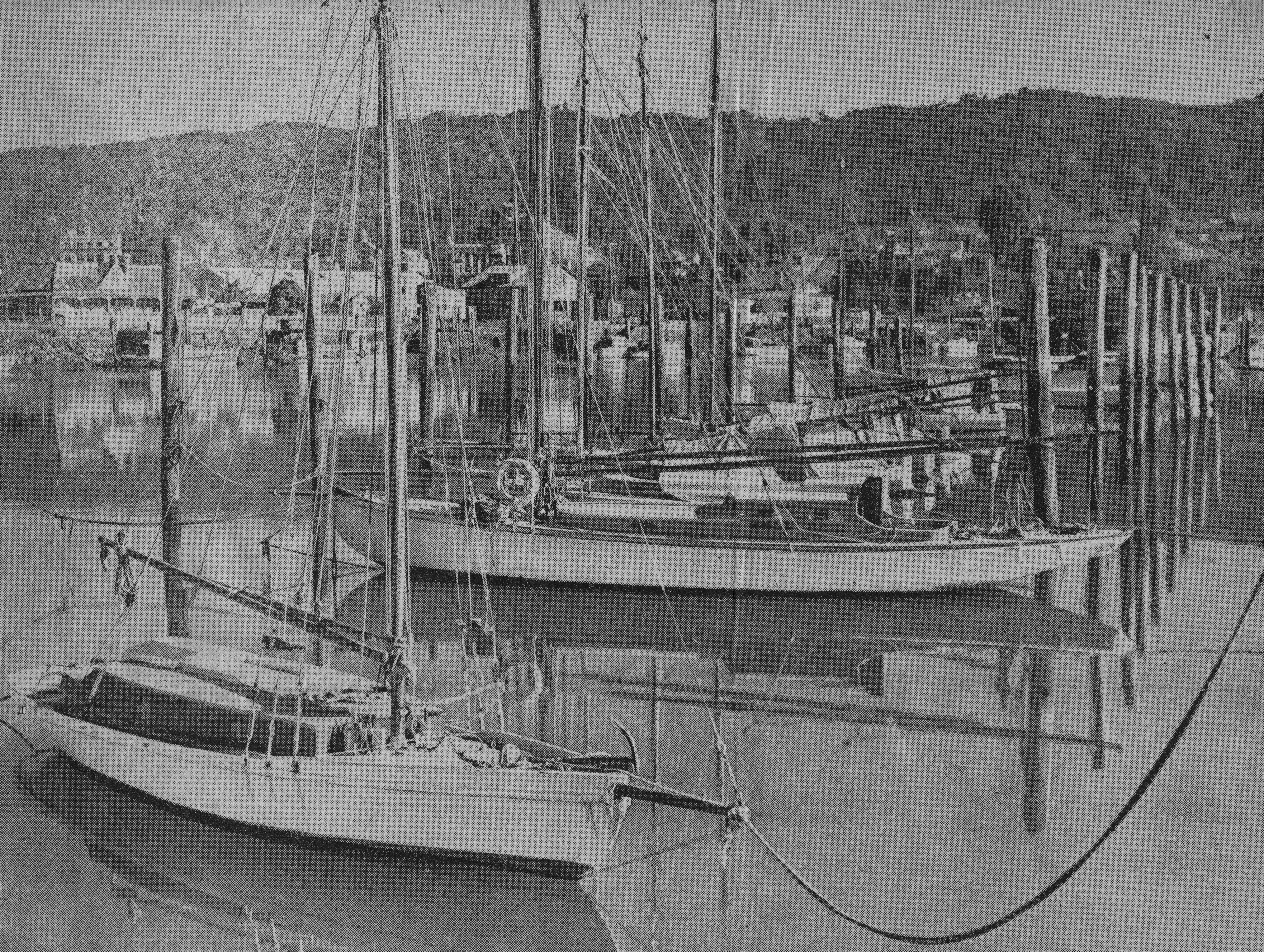 Mystery Yachts Whangrei