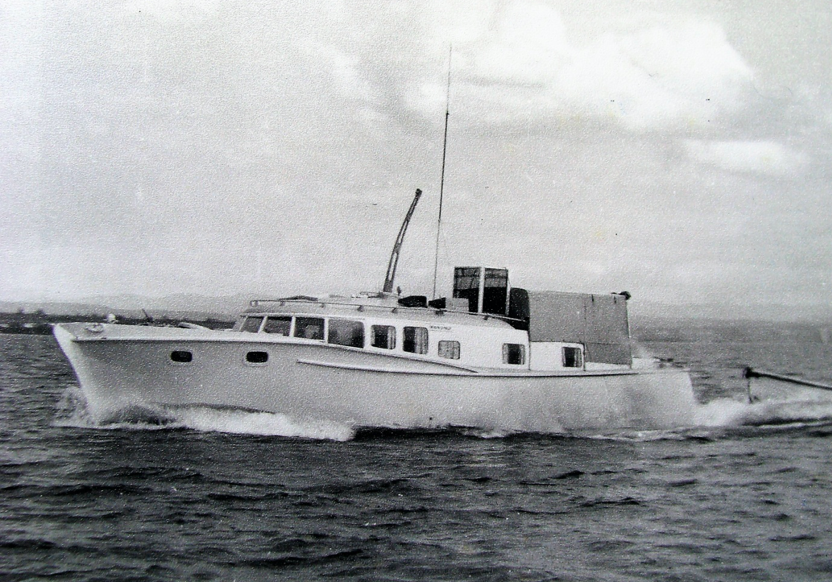 Screen Shot 2020-03-28 at 12.05.11 PM