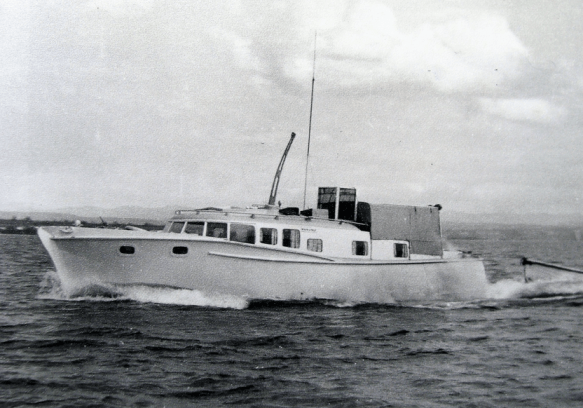 Screen Shot 2020-03-28 at 12.05.11 PM