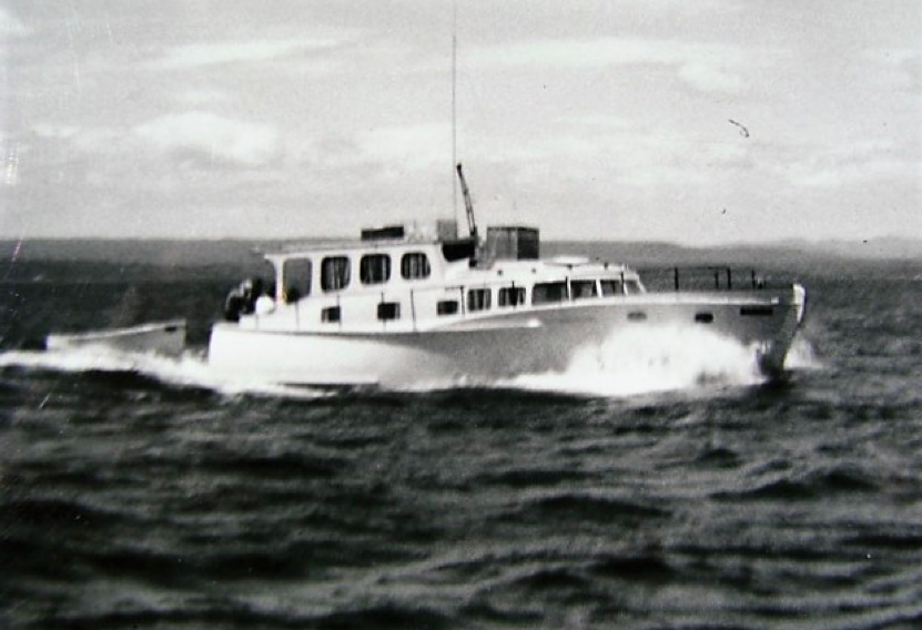 Screen Shot 2020-03-28 at 12.05.28 PM