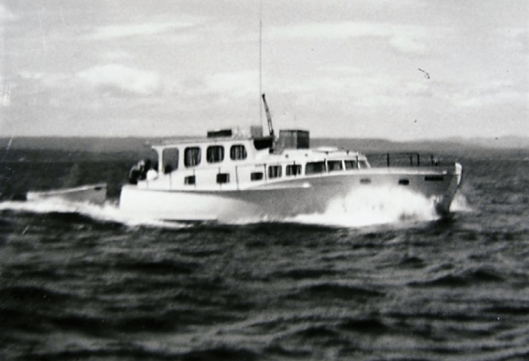 Screen Shot 2020-03-28 at 12.05.28 PM