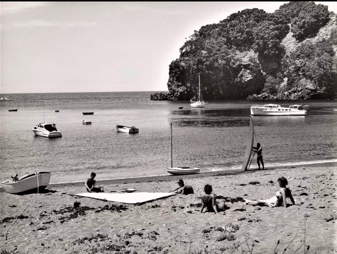 Screen Shot 2020-04-04 at 6.45.51 AM