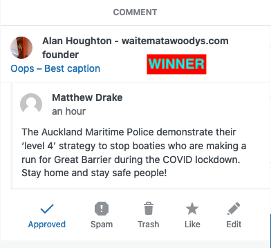 Screen Shot 2020-04-17 at 5.26.38 PM