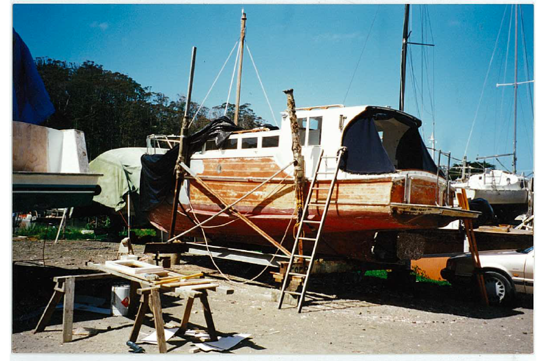 Screen Shot 2020-04-22 at 8.31.37 PM