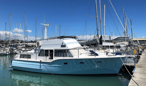 Screen Shot 2019-06-25 at 8.33.38 PM