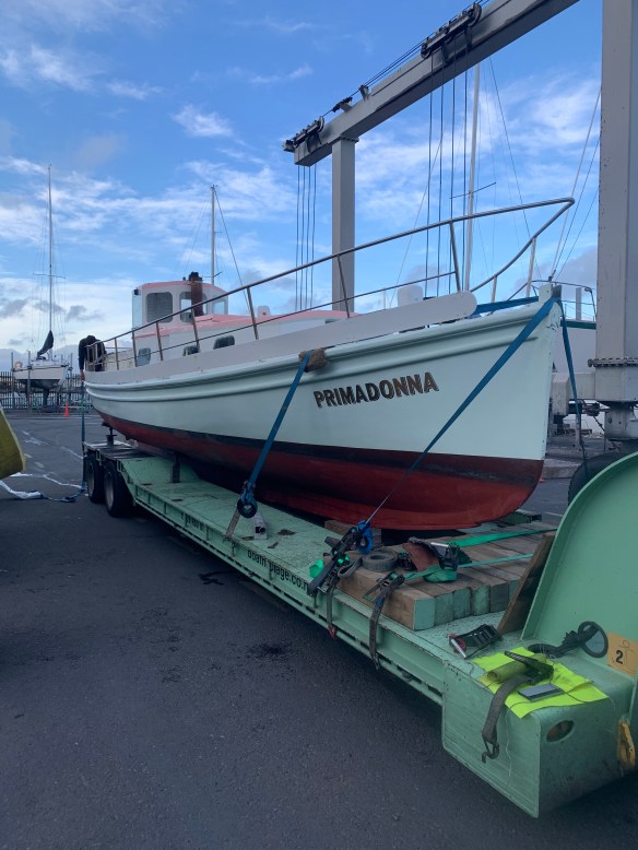 Primadonna heads north