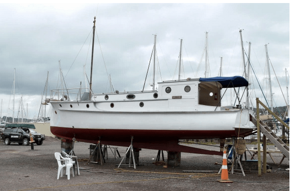 Screen Shot 2020-06-01 at 10.59.41 AM