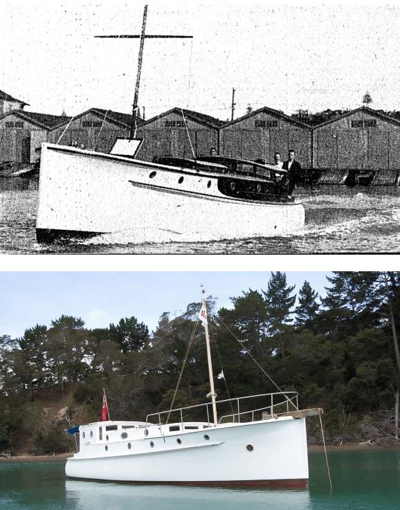 Screen Shot 2020-06-01 at 11.00.51 AM