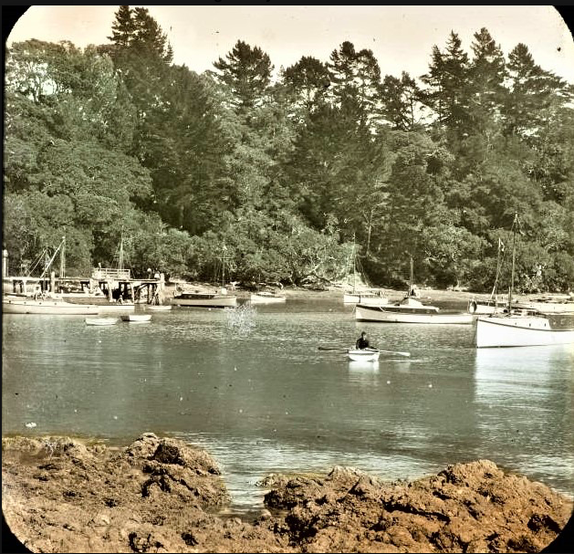 Screen Shot 2020-06-20 at 8.16.08 PM